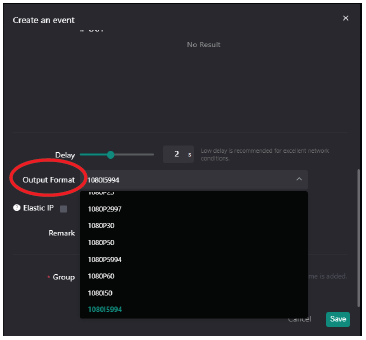 Output format selection