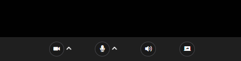 Mic and camera icons - Host view