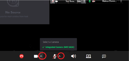 Mic and camera icons - participant view