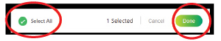 Select all option