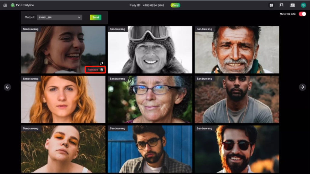 Removing a Gallery view participant
