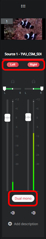 Dual-mono audio source controls