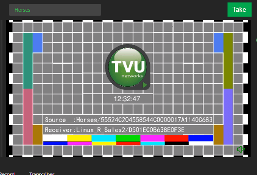 Advanced Control tab - Video preview offline state