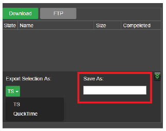 File management rename export selection