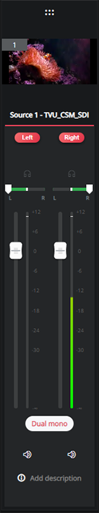 Audio usage indicators (Dual mono)