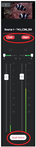 Dual-mono audio source controls