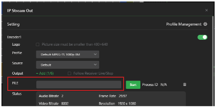 IP Stream Out File output