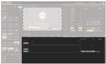 Record tab File management panel