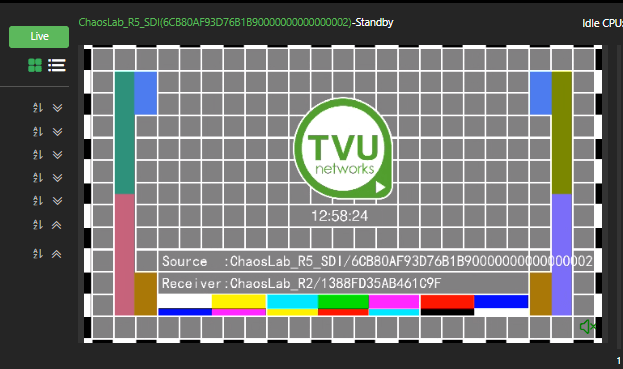 Video preview offline state