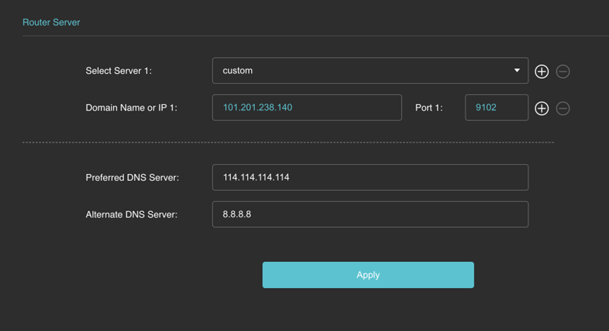 router server custom 1