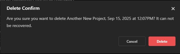 Delete project confirmation