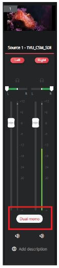 Audio usage indicators (Dual mono)