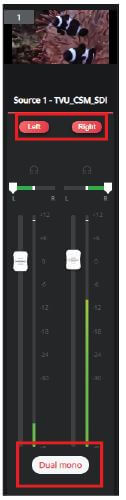 Dual-mono audio source controls