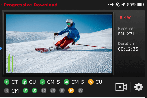Progressive download mark in