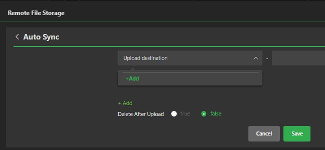 remote file storage auto sync edit