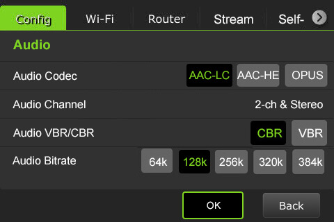 Config encoder audio settings