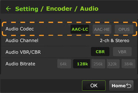 setting encoder audio 2 ch stereo