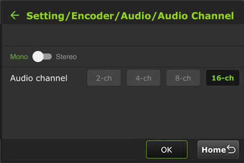 Audio channel mono 16ch