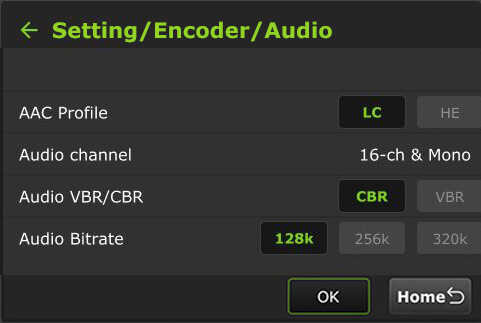 setting encoder audio 16ch