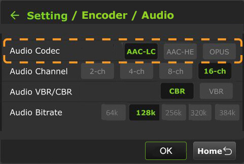 setting encoder audio