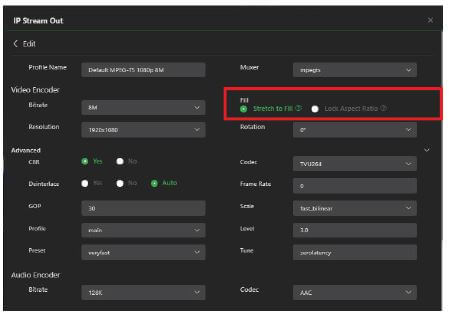 IP Streaming Output - Fill options