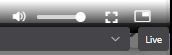 Speaker and view mode icons