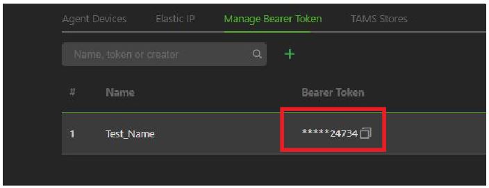 Bearer Token copy icon