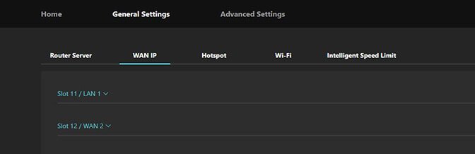 General Settings - WAN IP tab
